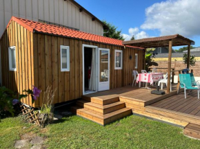 Chalet de jardin, piscine